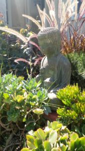 Buddha watches over our yard