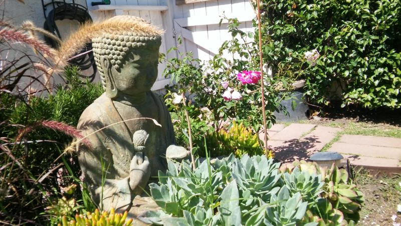 Buddha welcomes you to our beautiful yard at Susan’s House